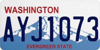 WA license plate AYJ1073