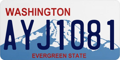 WA license plate AYJ1081