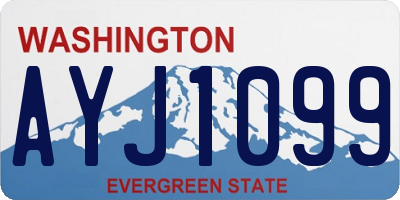 WA license plate AYJ1099