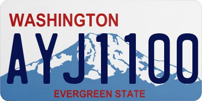 WA license plate AYJ1100