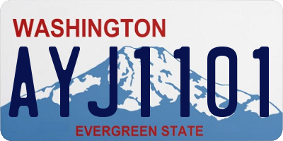 WA license plate AYJ1101