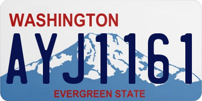 WA license plate AYJ1161