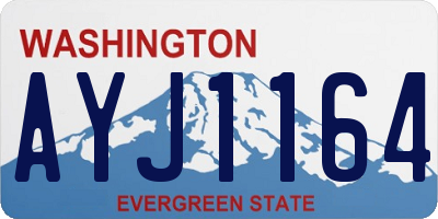 WA license plate AYJ1164