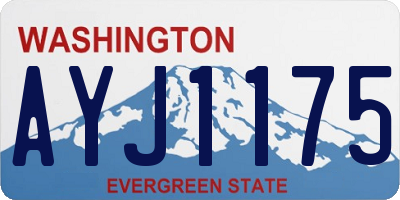 WA license plate AYJ1175
