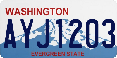 WA license plate AYJ1203