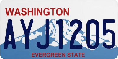 WA license plate AYJ1205