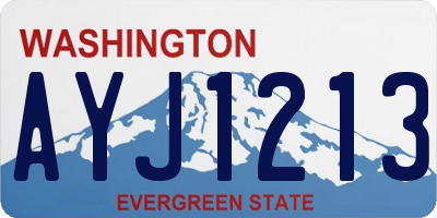 WA license plate AYJ1213