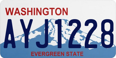 WA license plate AYJ1228