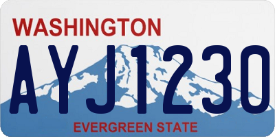 WA license plate AYJ1230