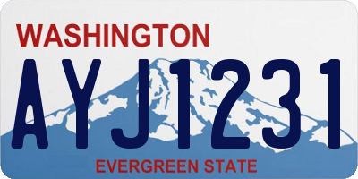 WA license plate AYJ1231