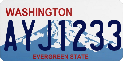 WA license plate AYJ1233