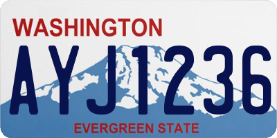 WA license plate AYJ1236