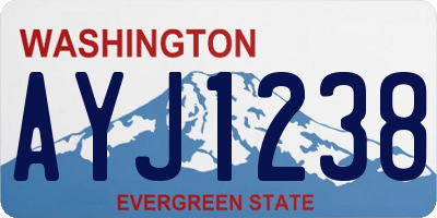 WA license plate AYJ1238