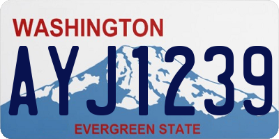 WA license plate AYJ1239