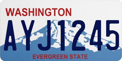 WA license plate AYJ1245