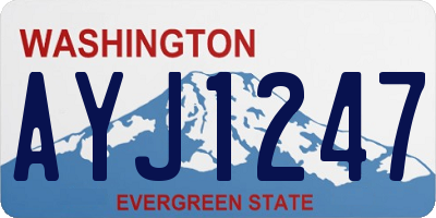 WA license plate AYJ1247