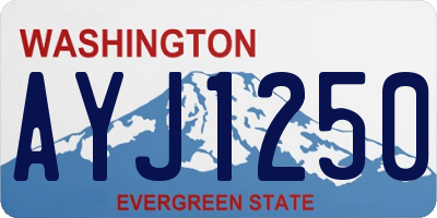WA license plate AYJ1250