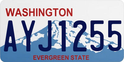 WA license plate AYJ1255