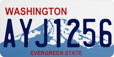 WA license plate AYJ1256