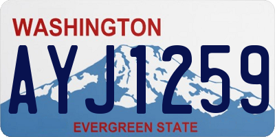 WA license plate AYJ1259