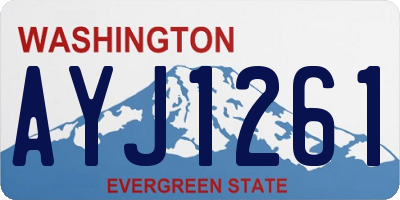 WA license plate AYJ1261