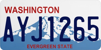 WA license plate AYJ1265
