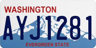 WA license plate AYJ1281