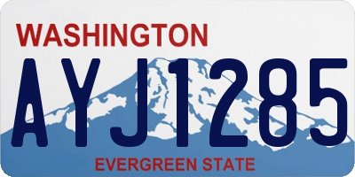 WA license plate AYJ1285