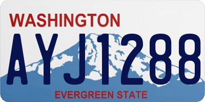 WA license plate AYJ1288