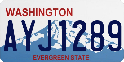 WA license plate AYJ1289