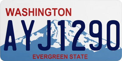 WA license plate AYJ1290