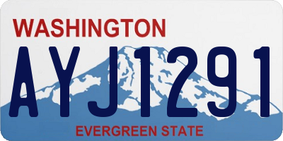WA license plate AYJ1291