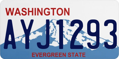 WA license plate AYJ1293