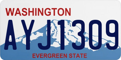 WA license plate AYJ1309