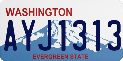WA license plate AYJ1313