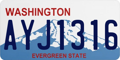 WA license plate AYJ1316