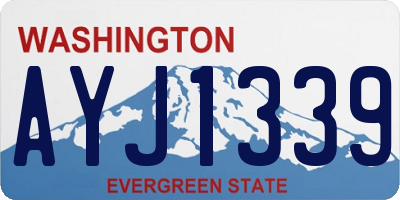 WA license plate AYJ1339