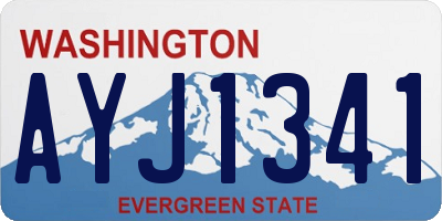 WA license plate AYJ1341