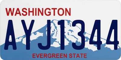 WA license plate AYJ1344