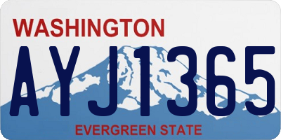 WA license plate AYJ1365