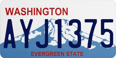 WA license plate AYJ1375