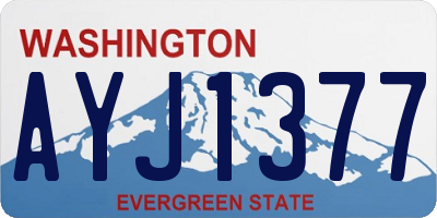 WA license plate AYJ1377