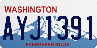 WA license plate AYJ1391