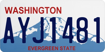 WA license plate AYJ1481