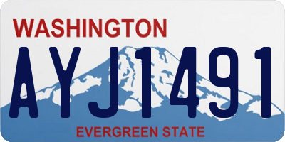 WA license plate AYJ1491