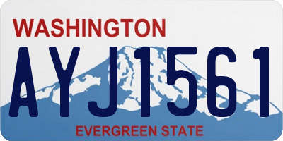 WA license plate AYJ1561