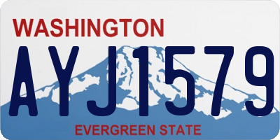 WA license plate AYJ1579