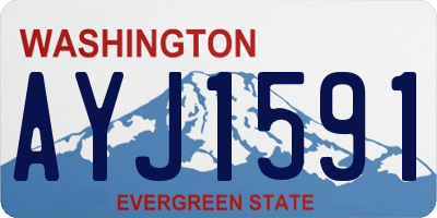 WA license plate AYJ1591