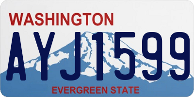 WA license plate AYJ1599