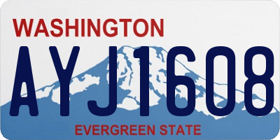 WA license plate AYJ1608